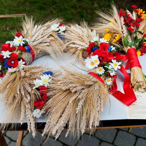 Dožínky Plzeňského kraje a Setkání pod rokycanskou věží