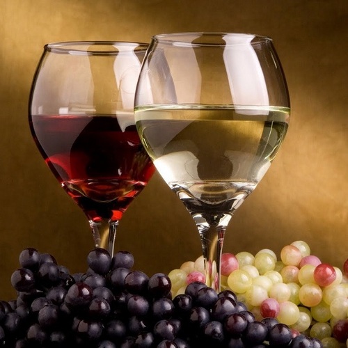 Ochutnávka vín