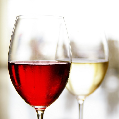 Ochutnávka vín z vinařství Waldberg ze znojemské oblasti