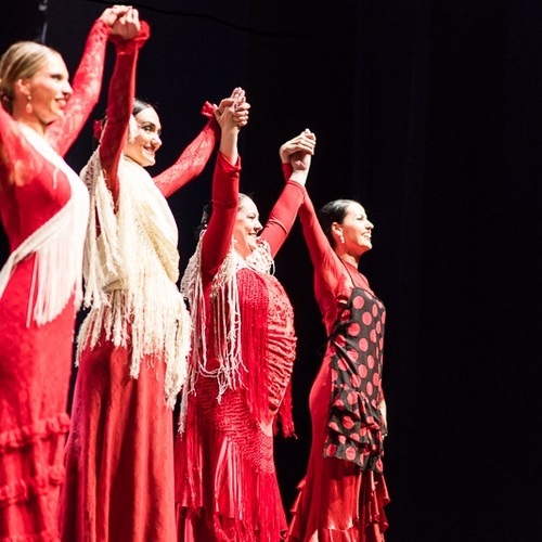 Flamencopa Plzeň 2018