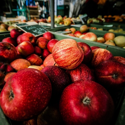 Farmářská podzimní sklizeň