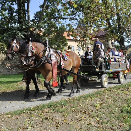 Dožínky Plzeňského kraje v Milínově nabídnou Anetu Langerovou i farmářské trhy