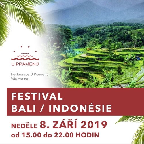 Festival Bali / Indonésie