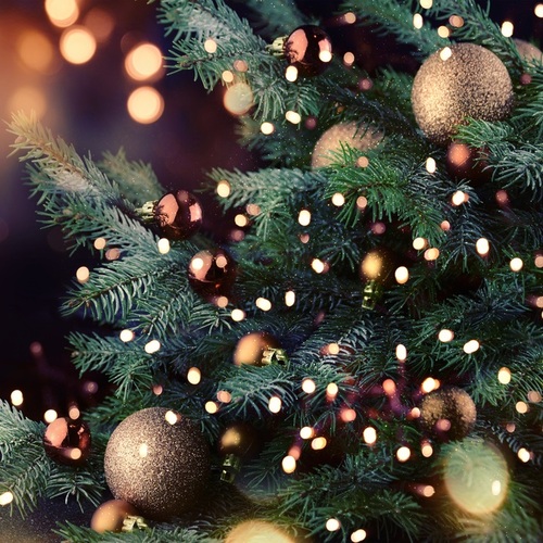 Rozsvícení vánočních stromečků