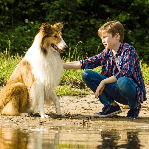 Lassie se vrací