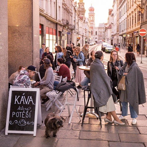 Plzeňské kulturní předzahrádky