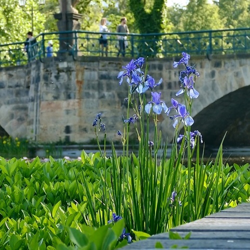 DEN ARCHITEKTURY: Plzeň zelená a modrá