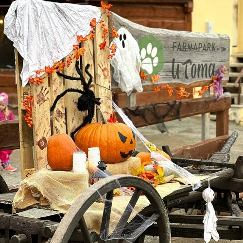 Halloween a Podzimní focení