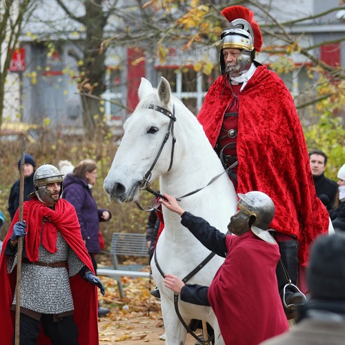 Svatomartinská husa