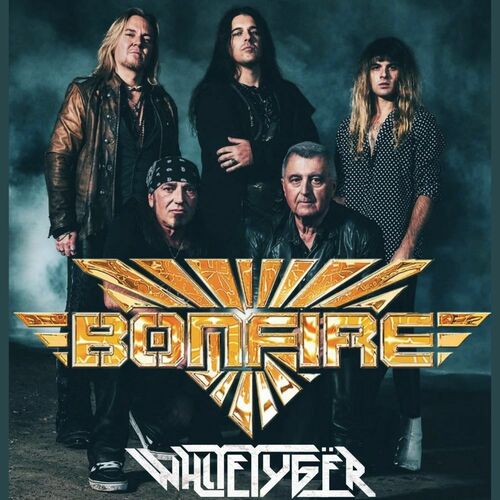 Bonfire & White Tygër