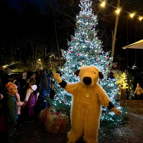 Rozsvícení vánočního stromečku a vánoční focení