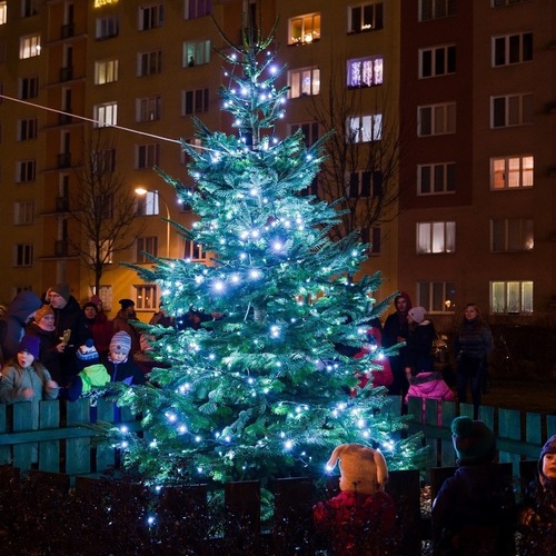 Rozsvícení vánočních stromků na Borech a Skvrňanech