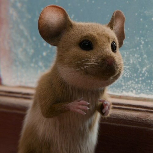 Myši v akci: Vánoční past