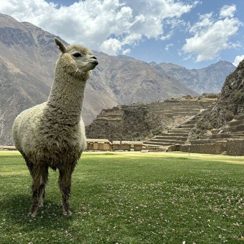 Cestovatelský festival KOLEM SVĚTA