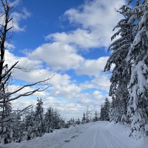 Tradiční novoroční výstup na Čerchov