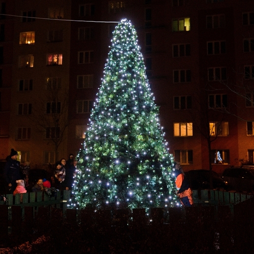 Rozsvícení vánočního stromku na Borech