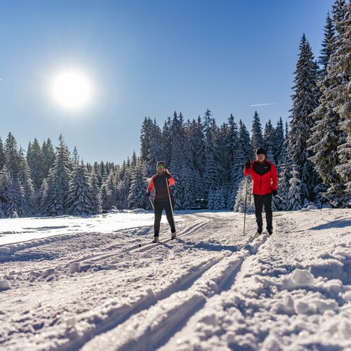 Běžky nebo pěšky - Dobrodružství, které z gauče nezažiješ!