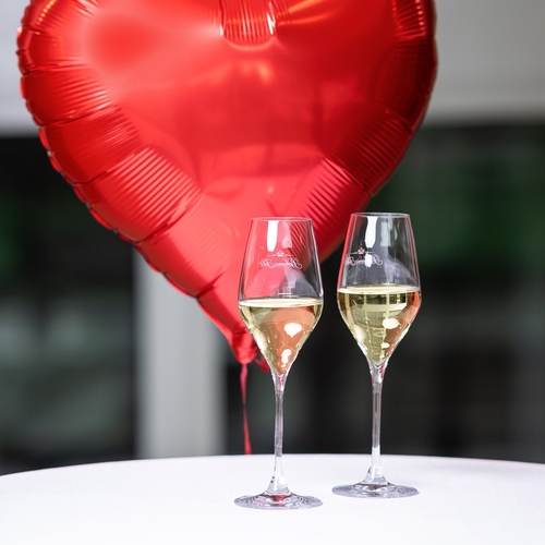 Valentýnský ples 2026