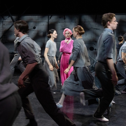 Návštěva staré dámy