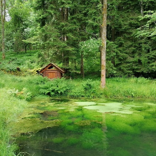 Český les: Oáza klidu, kde vládne příroda a historie ožívá