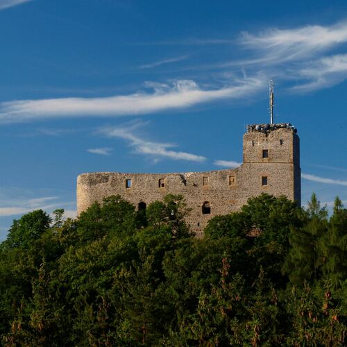 Radyňské slavnosti vína