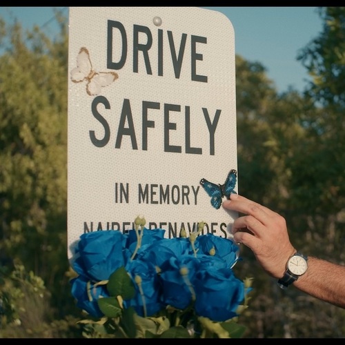 Elon a pokusní králíci