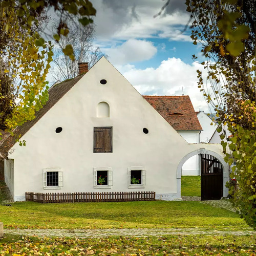 Volný vstup