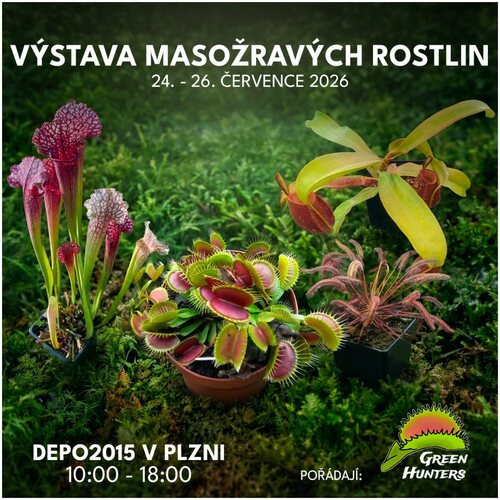 Výstava masožravých rostlin