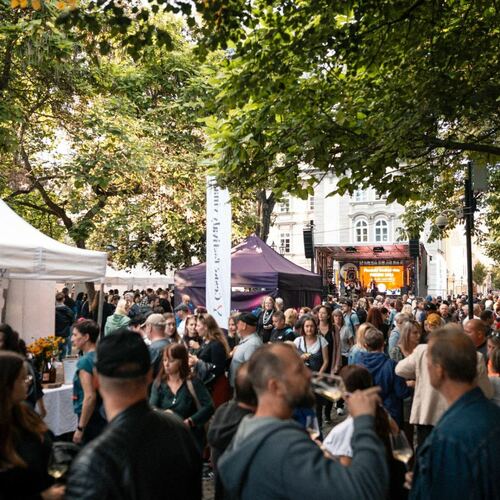 Plzeňský festival vína – PODZIM 2026
