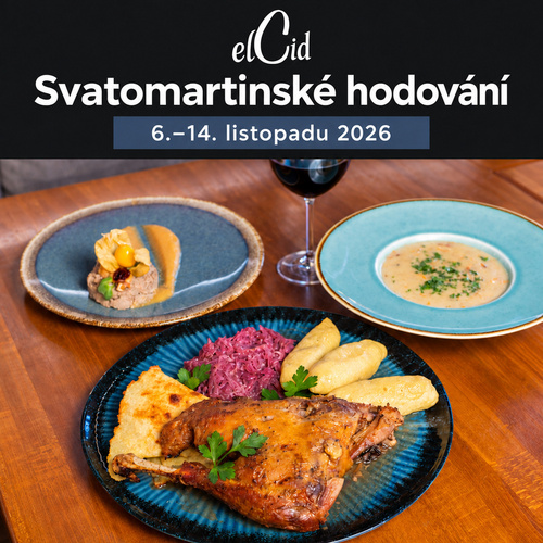 Svatý Martin – V hlavní roli husy