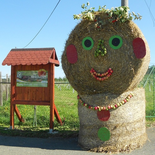 Slavnosti jablek