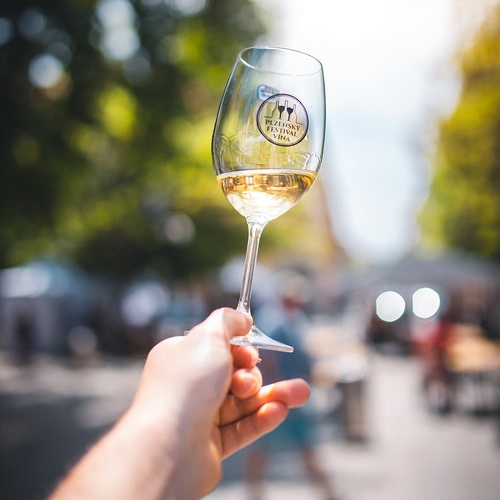 Plzeňský festival vína 2021 / Podzim