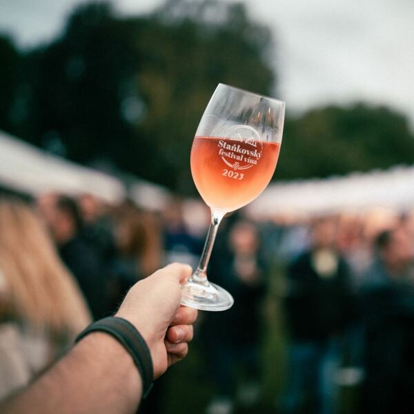 Staňkovský festival vína