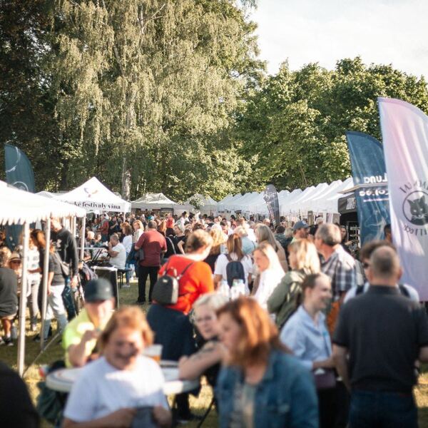 Staňkovský festival vína 2026