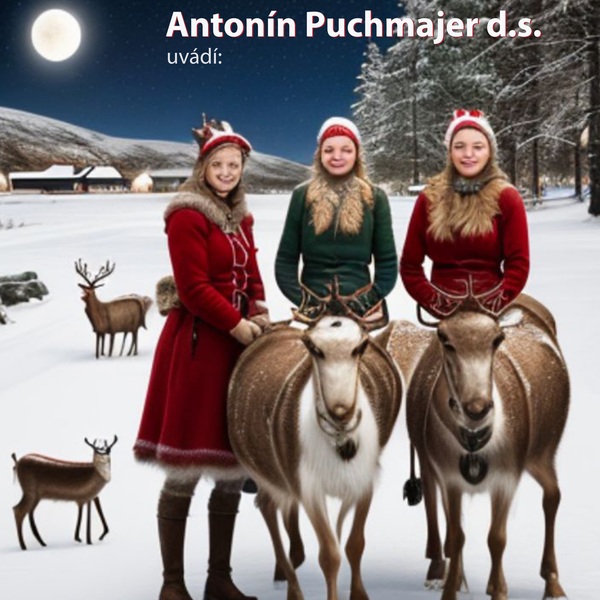 DS Puchmajer: Norská žena