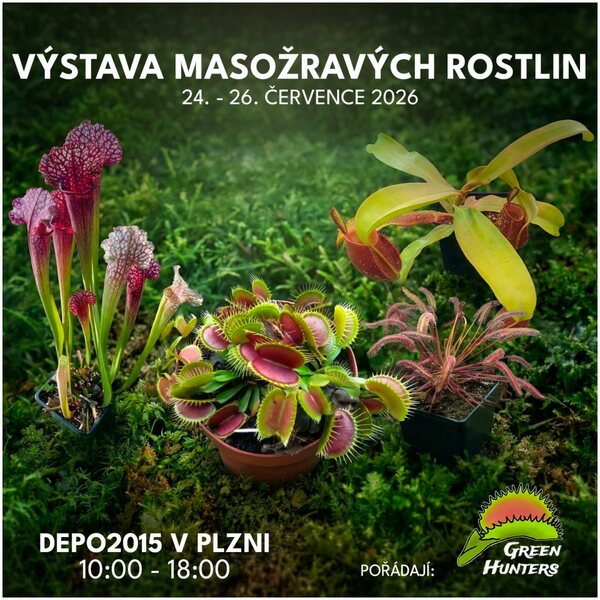 Výstava masožravých rostlin